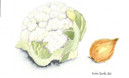 Blomkål og løg  2010  19cm x 14cm