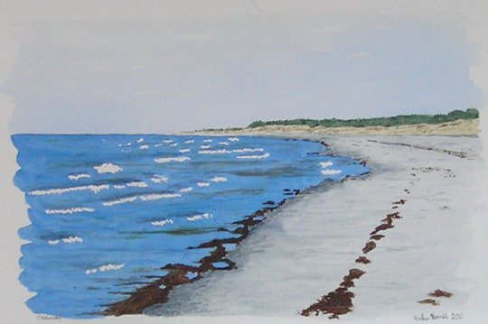 Strand, Kattegat  2010  36cm x 24cm