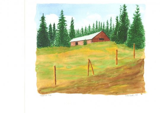 Sæterhytte på Myrsjøberget, Norge  2011  29cm x 24cm