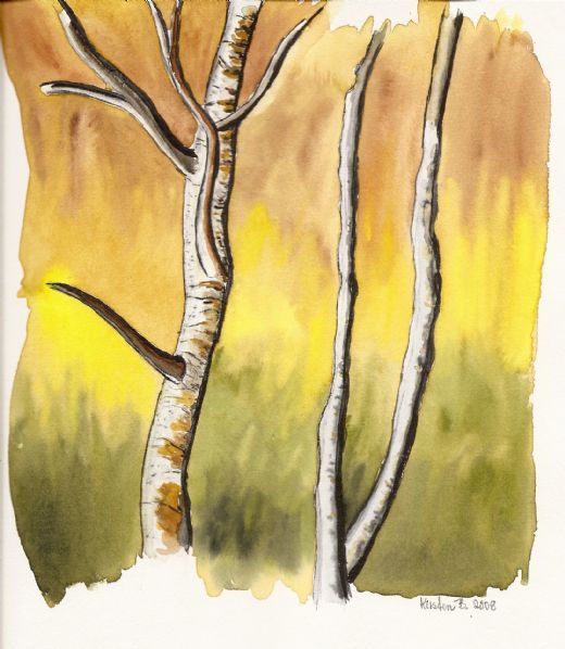 Birkestammer  2008  21cm x 23cm