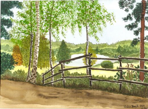 Sverige  2009  26cm x 19cm