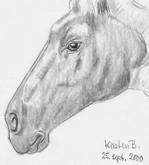 Efter Foto - 2000  12cm x 11cm