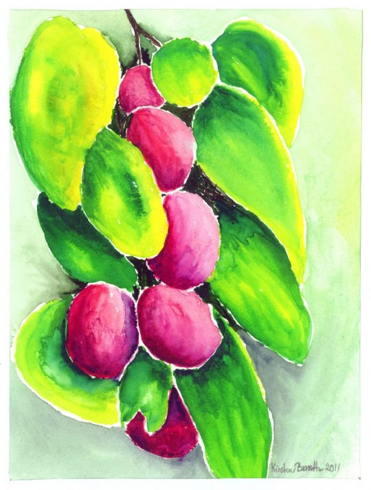 Blommer  2011  15cm x 20cm