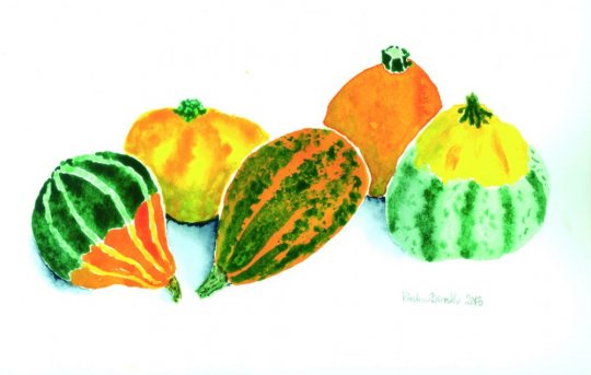 Fem små pyntegræskar  2013  30cm x 18cm