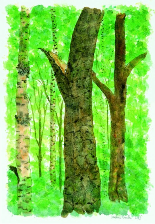 Skov  2013  22cm x 31cm